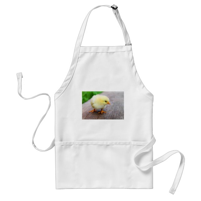 Easter Chick Standard Apron (Front)