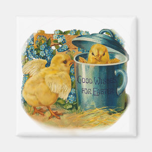 Easter chicks at play magnet