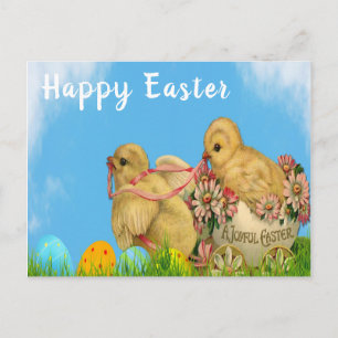 Easter Chicks Postcard