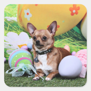 Easter - Chihuahua - Rambo Square Sticker
