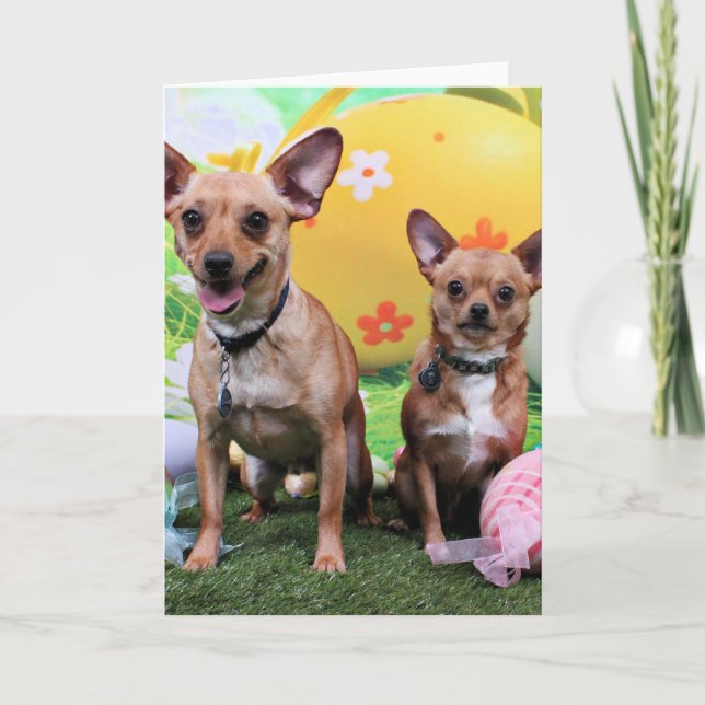 Easter - Chipin Rockwell - Chihuahua Rambo Holiday Card (Front)