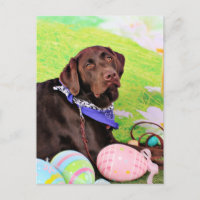 Easter - Chocolate Labrador - Hershey