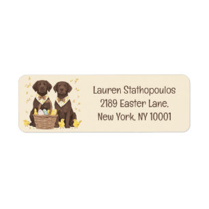 Easter Chocolate Labrador Retriever Dogs