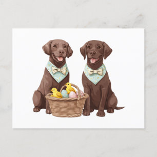 Easter Chocolate Labrador Retriever Dogs Postcard