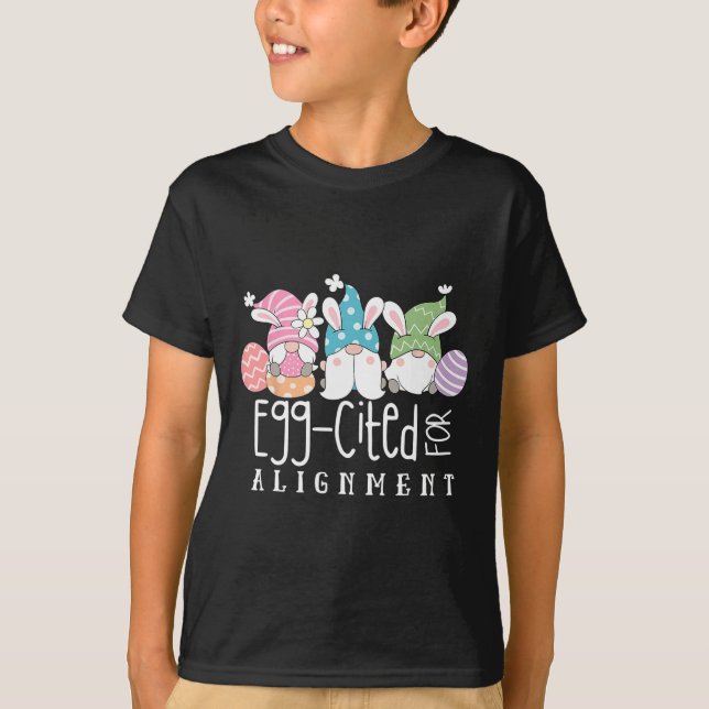 Easter Cute Gnomes Chiropractor Egg-cited For Alig T-Shirt (Front)