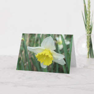 Easter Daffodil Holiday Card