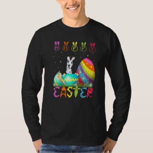 Easter Day Great Dane Dog Matching Family Easter C T-Shirt