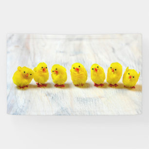 Easter Decoration - chicks in a row Banner