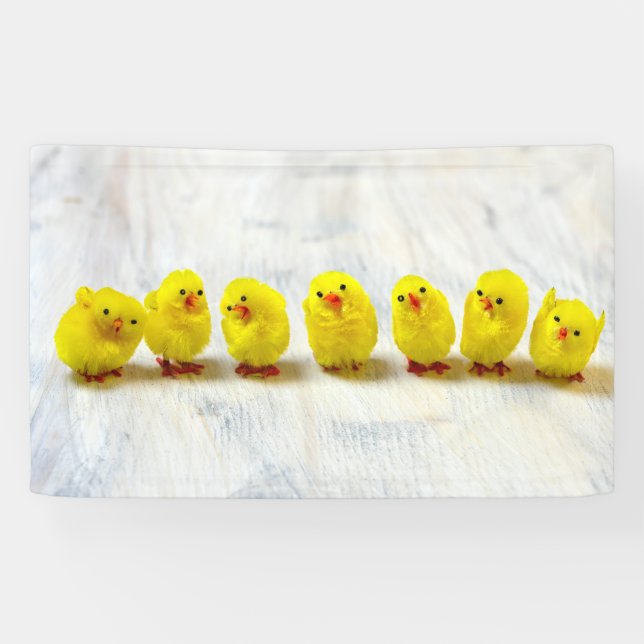 Easter Decoration - chicks in a row Banner (Horizontal)