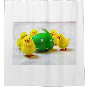 Easter Decoration - Easter egg and chicks Shower Curtain