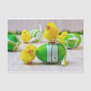 Easter Decoration - Easter egg and chicks Tissue Paper