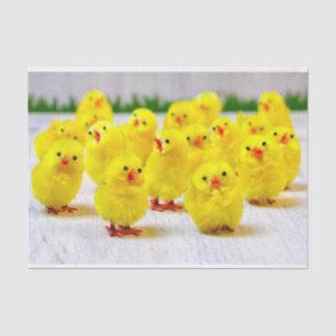 Easter Decoration -Group of chicks Tissue Paper