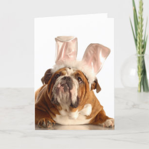 Easter Dog Greeting Card