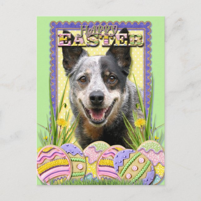 Easter Egg Cookies - Australian Cattle Dog Holiday Postcard (Front)
