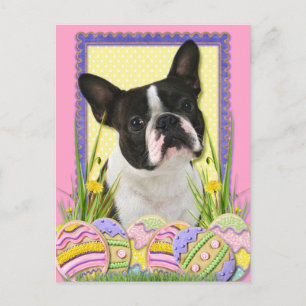 Easter Egg Cookies - Boston Terrier Holiday Postcard