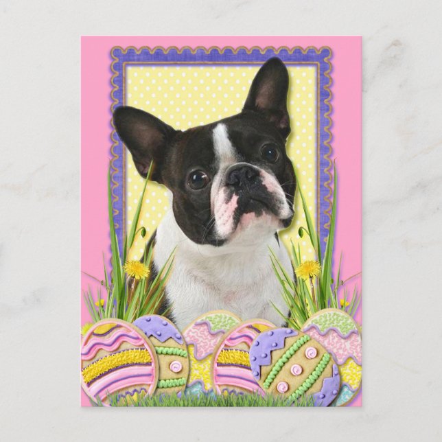Easter Egg Cookies - Boston Terrier Holiday Postcard (Front)