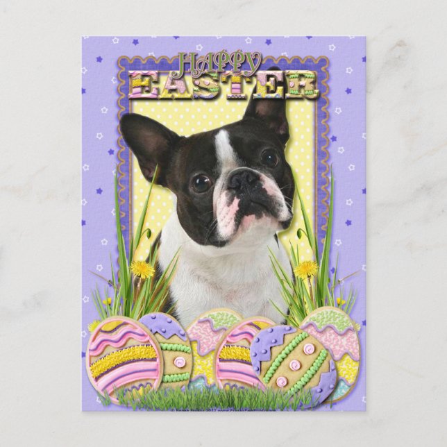 Easter Egg Cookies - Boston Terrier Holiday Postcard (Front)