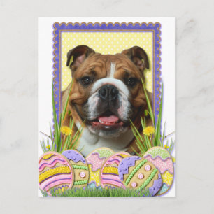 Easter Egg Cookies - Bulldog Holiday Postcard