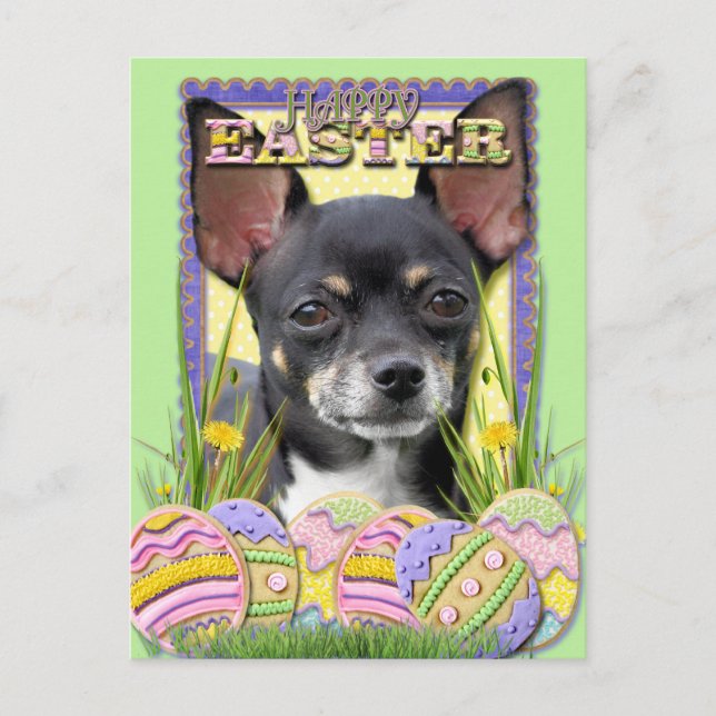 Easter Egg Cookies - Chihuahua Holiday Postcard (Front)