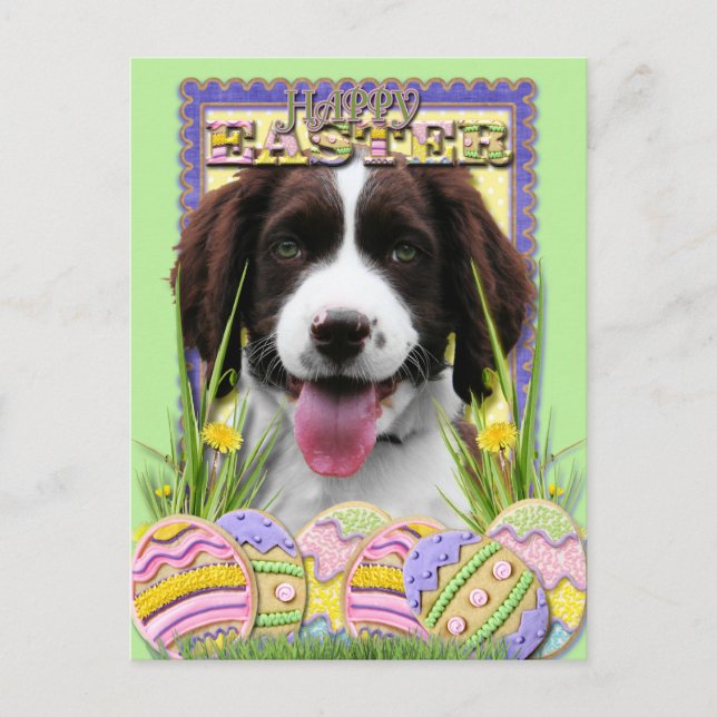 Easter Egg Cookies - English Springer Spaniel Holiday Postcard (Front)