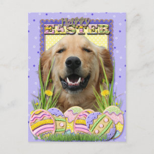 Easter Egg Cookies - Golden Retriever Holiday Postcard