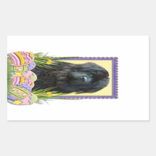 Easter Egg Cookies - Newfoundland Rectangular Sticker