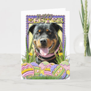 Easter Egg Cookies - Rottweiler Holiday Card