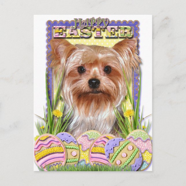 Easter Egg Cookies - Yorkshire Terrier Holiday Postcard (Front)