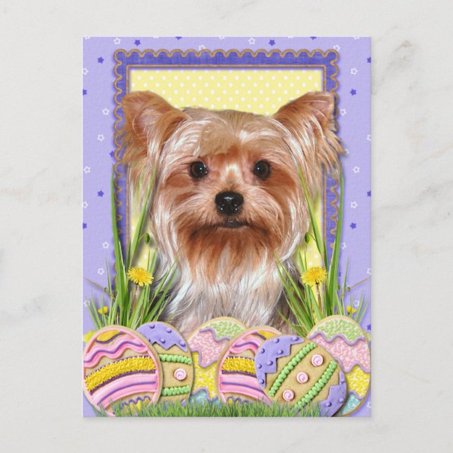 Easter Egg Cookies - Yorkshire Terrier Holiday Postcard (Front)