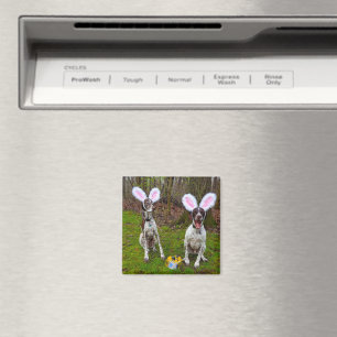 Easter Egg Hunt and Party Dogs Square Magnet