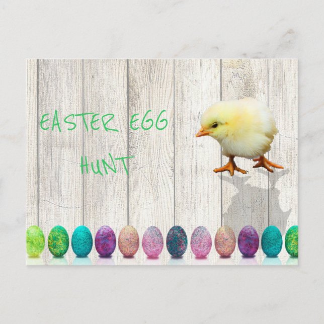 Easter Egg Hunt  Colourful Chick Rustic Invitation Postcard (Front)