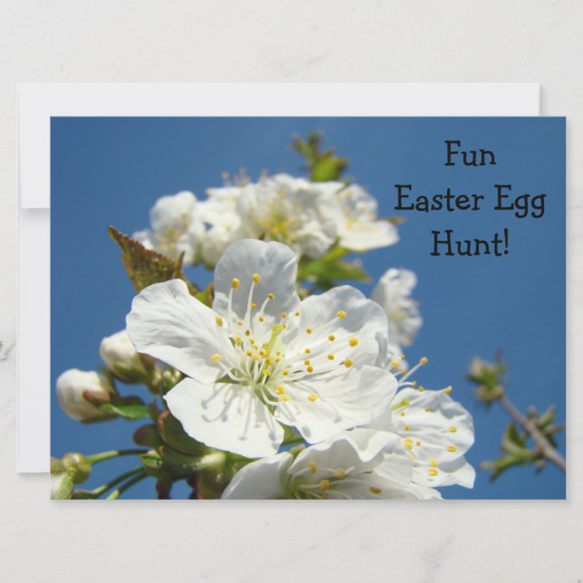 Easter Egg Hunt! party Event Spring Invitations (Front)