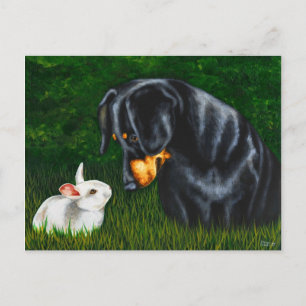 Easter Eye to Eye - Dachshund Dog and Bunny Rabbit Holiday Postcard
