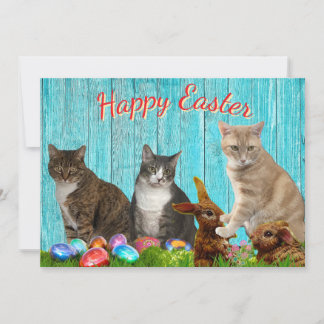 Easter Flat Card - Cats and Bunnies