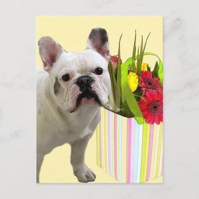 Easter French Bulldog postcard (Front)