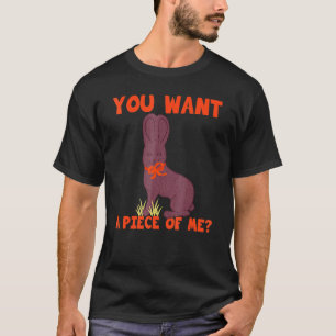 Easter Funny Teens Sayings Chocolate Bunny Meme 2 T-Shirt