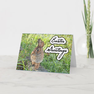 Easter Garden Bunny Card
