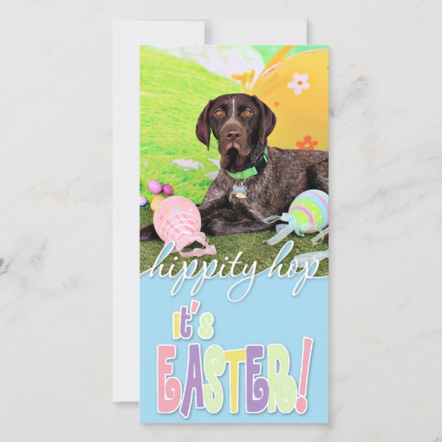Easter - German Shorthair Pointer - Kaiser Holiday Card (Front)