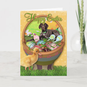 Easter - German Shorthair Pointer - Kaiser Holiday Card