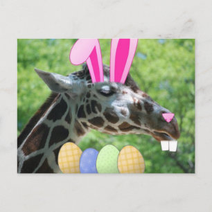 Easter Giraffe Holiday Postcard