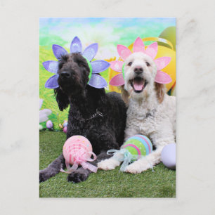 Easter - GoldenDoodles - Sadie and Izzie Holiday Postcard