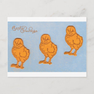 Easter Greetings Chicks Blue Holiday Postcard