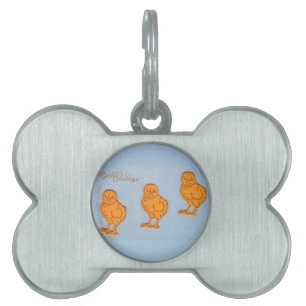 Easter Greetings Chicks in Blue Pet ID Tag
