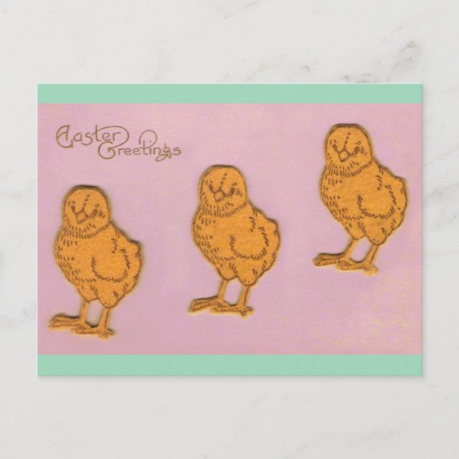 Easter Greetings Chicks Pink Holiday Postcard (Front)