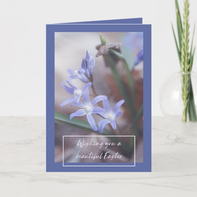 Easter Greetings - Chionodoxa - Card (Front)