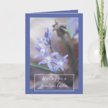 Easter Greetings - Chionodoxa - Card