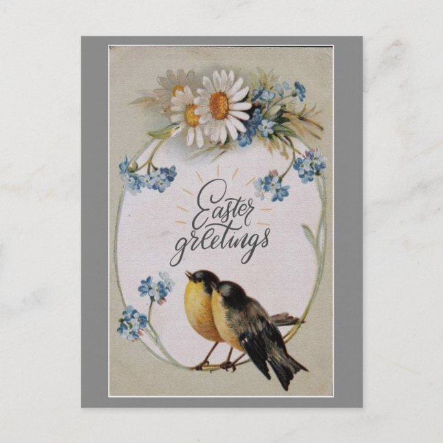 Easter Greetings Cute Vintage Spring Robin Postcard (Front)