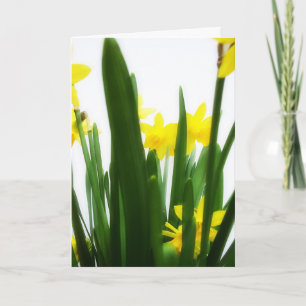 Easter Greetings Holiday Card