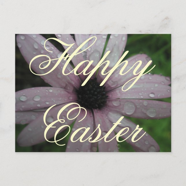 Easter Greetings Holiday Postcard (Front)
