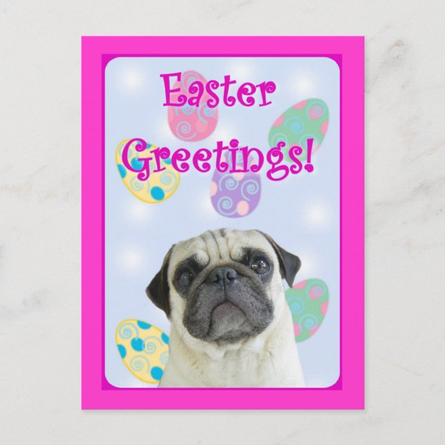 Easter Greetings pug Holiday Postcard (Front)